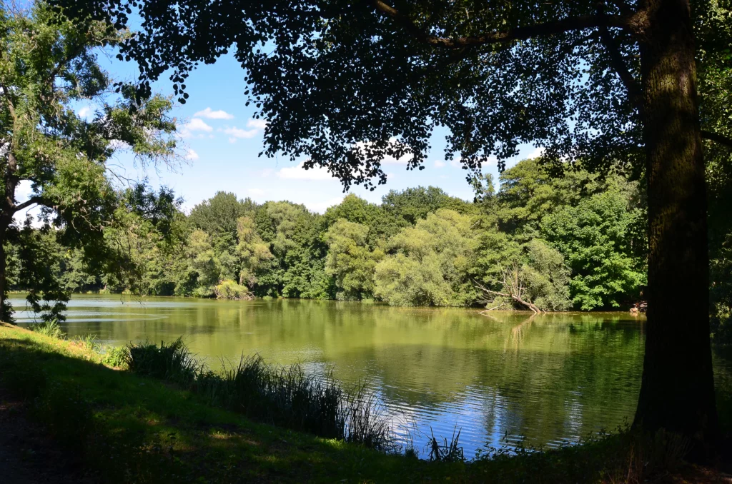 Blick auf den See in Berlin-Wei&szlig;ensee im Sommer &ndash; Ihr lokaler Pflegedienst Lux f&uuml;r Betreuung im Kiez.